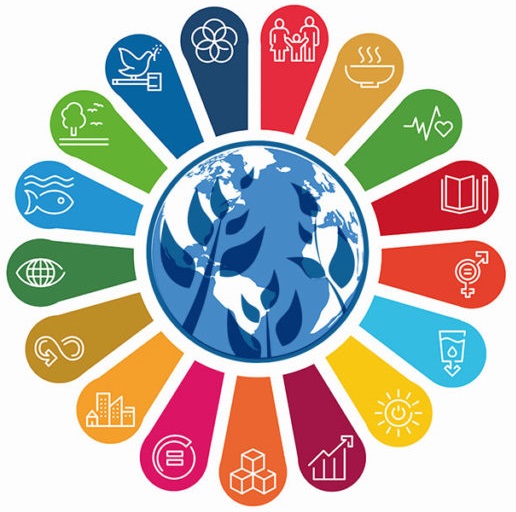 SDG Logo